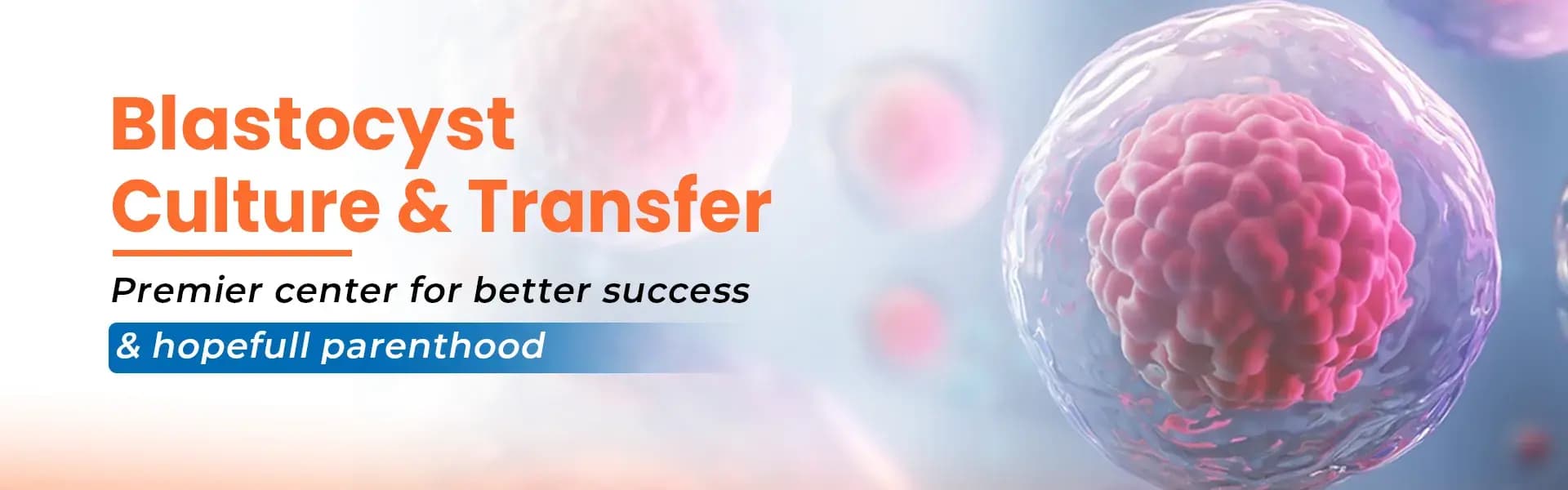 Banner showcasing Blastocyst Culture & Transfer options