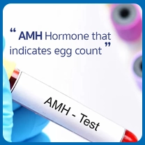 Understand Anti-Müllerian Hormone (AMH) and Its Important 