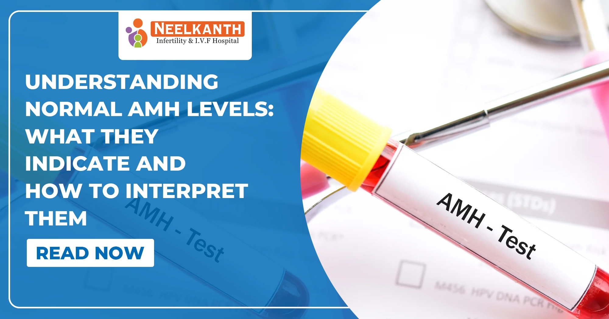 What Are Normal AMH Levels and What Do They Indicate?