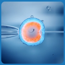 How Many Injections Are Needed For IVF Treatment?